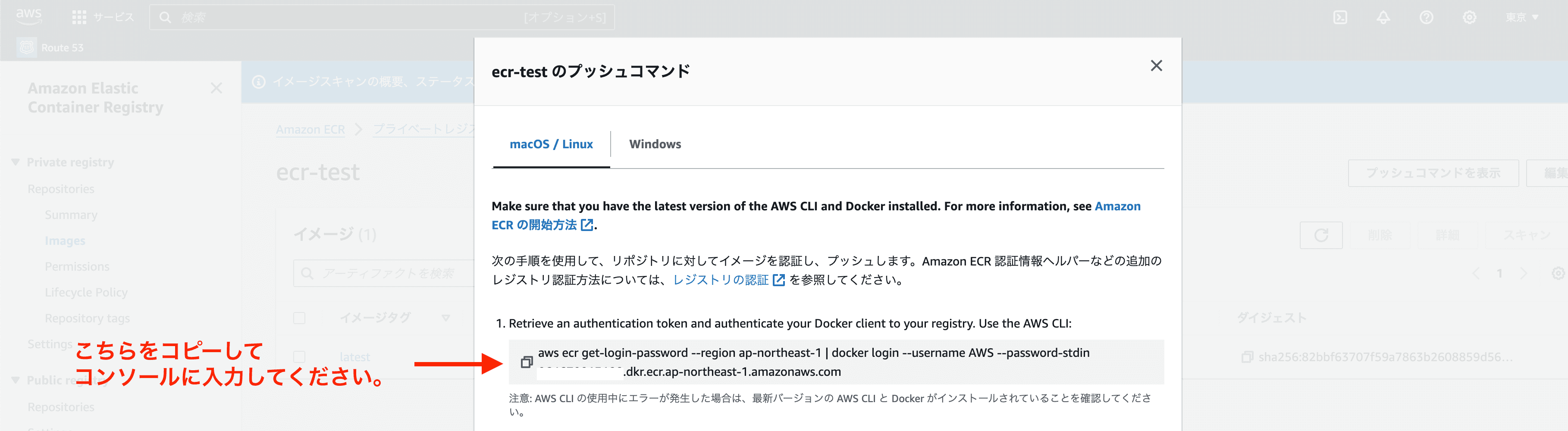 1を実行するだけで、すぐログイン状態になります